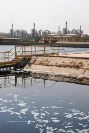 Image du Maroc Professionnelle de  Bassin d'eau à l'Usine Jorf Lasfar du Groupe OCP de L'Office chérifien des phosphates. Le Groupe OCP : Société anonyme fondée en 1920 et domiciliée au Maroc. Groupe OCP est le leader mondial des exportations des phosphates et produits dérivés, Vendredi 14 Septembre 2007. (Photo / Abdeljalil Bounhar)